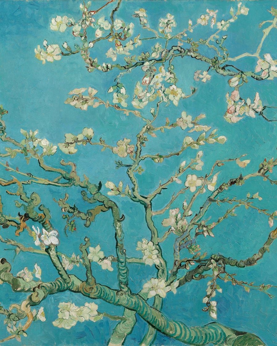 Rami di mandorlo in fiore contro un cielo azzurro, dipinto di Vincent van Gogh